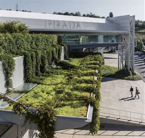 terranuova bracciolini spaccio prada|The Prada Group reopens its production sites in Tuscany.